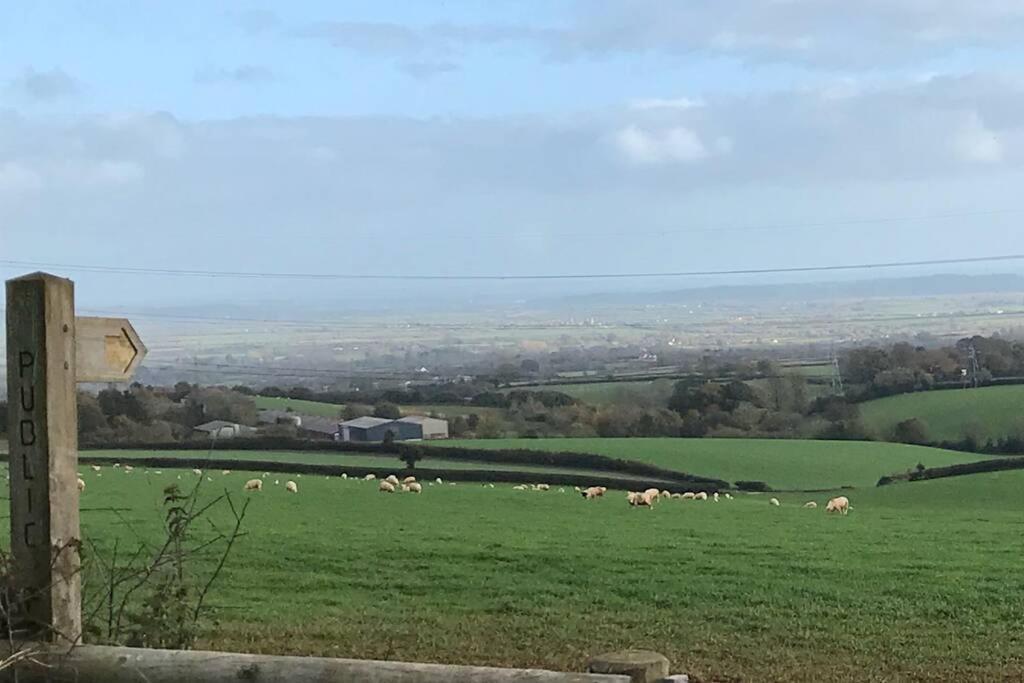 Apartment The Cheese Room, Self-contained Cosy Retreat In The Quantock Hills Bridgwater